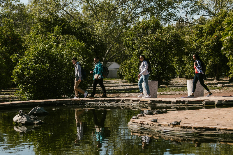 students on a walk beside a pond