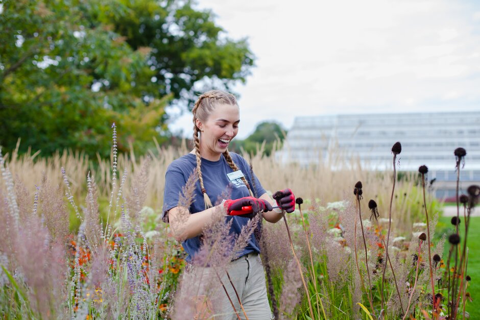 An RHS student is smiling while using a pair of secateurs to cut a plant.